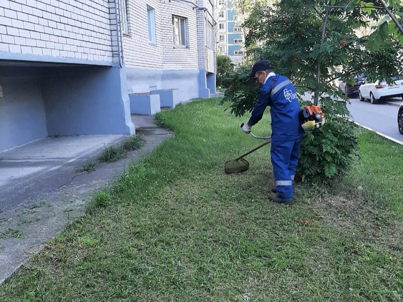 Что сделано за неделю: обновляем город вместе!